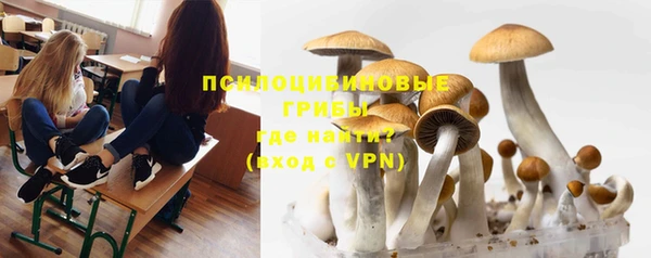 прущие крисы Медногорск