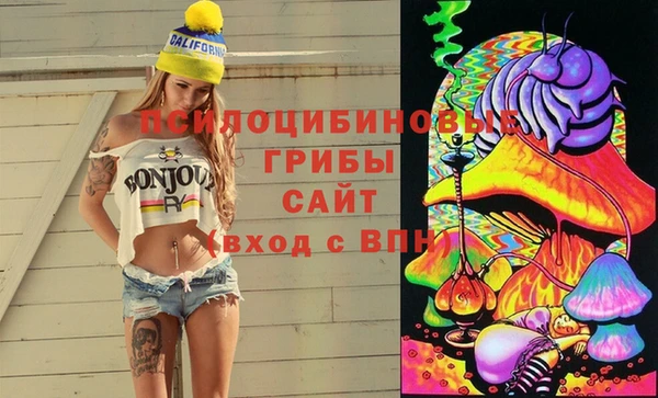 прущие крисы Медногорск