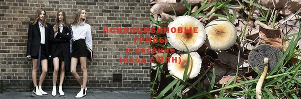 бутират Россошь