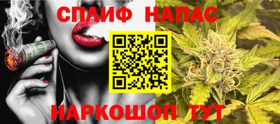 дмт Беслан