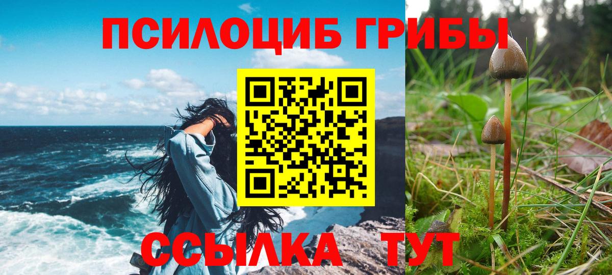 Сорочинск  Псилоцибиновые грибы мухоморы  Вход с VPN 