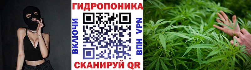 наркота  мега онион  Каннабис тримм  дарк нет официальный сайт  Сорочинск 